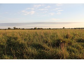 Tract 6 - LAND AUCTION - 440+/- Acres offered in 15 Tracts in Tulsa County
